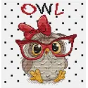 Kit de point de croix The Owl With Glasses SB1403