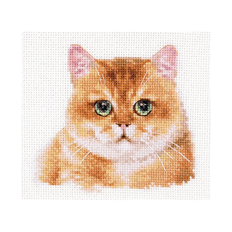 Cross stitch kit "Teddy Cat" S1-36