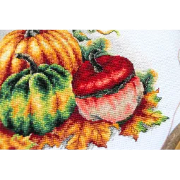 Kit de point de croix «Citrouilles colorées» SNV-789