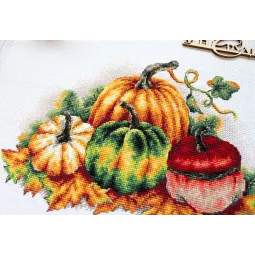 Kit de point de croix «Citrouilles colorées» SNV-789