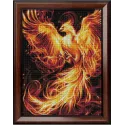 Fiery phoenix 30x40 cm AM1853