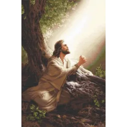 Набор для вышивания крестом Иисус Христос 35x52cm SB618