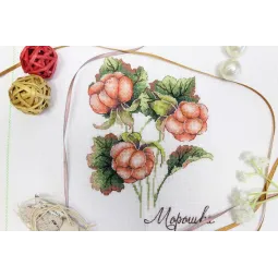 Cross stitch kit "Gifts of nature. Cloudberry" SNV-815