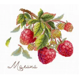 Kit de point de croix "Cadeaux de la nature. Framboises" SNV-816