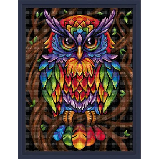 Diamond Painting kit "Rainbow Owl" 30x40 cm AM1726