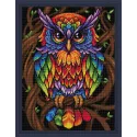 Diamond Painting kit "Rainbow Owl" 30x40 cm AM1726