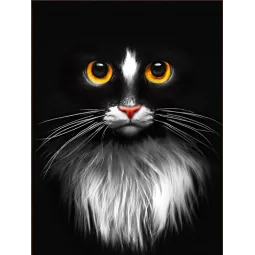 Kit de peinture au diamant "Chat noir" 30х40 AM1899