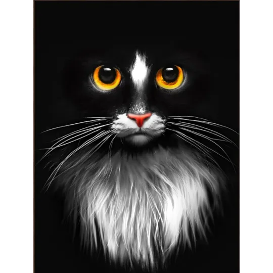 Kit de peinture diamant "Chat noir" 30х40 AM1899