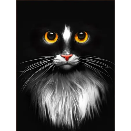 Diamant-Malerei-Set „Schwarze Katze“ 30 x 40 AM1899