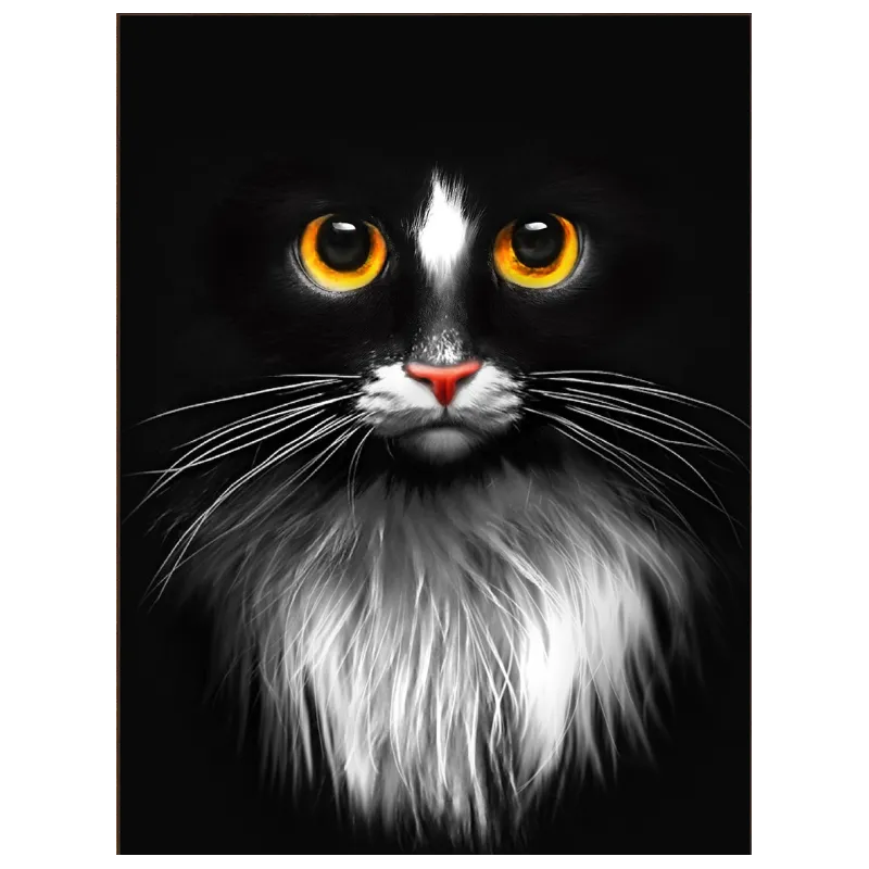 Diamant-Malerei-Set „Schwarze Katze“ 30 x 40 AM1899