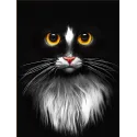 Diamant-Malerei-Set „Schwarze Katze“ 30 x 40 AM1899