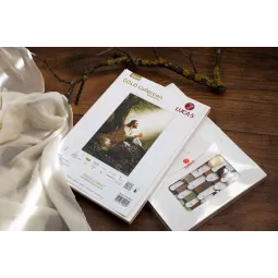 Kryželiu siuvinėjimo rinkinys Jėzus Kristus 22x33 cm SG618