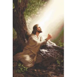 Kryželiu siuvinėjimo rinkinys Jėzus Kristus 22x33 cm SG618