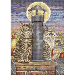 (D) Romance 26x18cm SLETIL8066