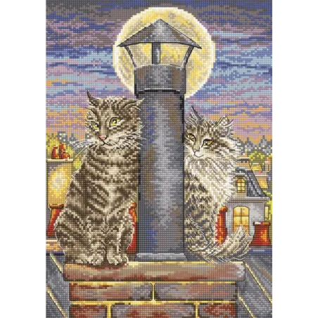 (D) Romance 26x18cm SLETIL8066