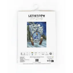 Nothing Can Hold Back A Dream  32x24cm SLETIL8067