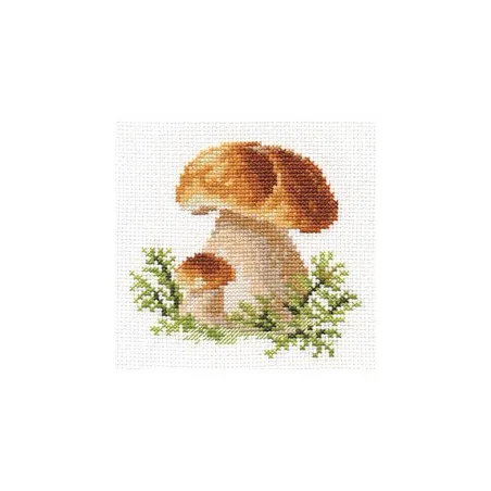 Белые грибы S0-144