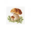 Champignons blancs S0-144