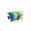 Poissons tropicaux S0-150