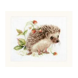Hedgehog and strawberry S0-227