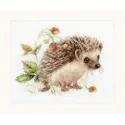 Hedgehog and strawberry S0-227