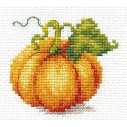 Pumpkin S0-163