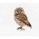Owl S0-166