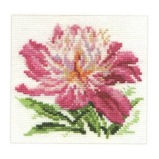 Pivoine rose S0-119