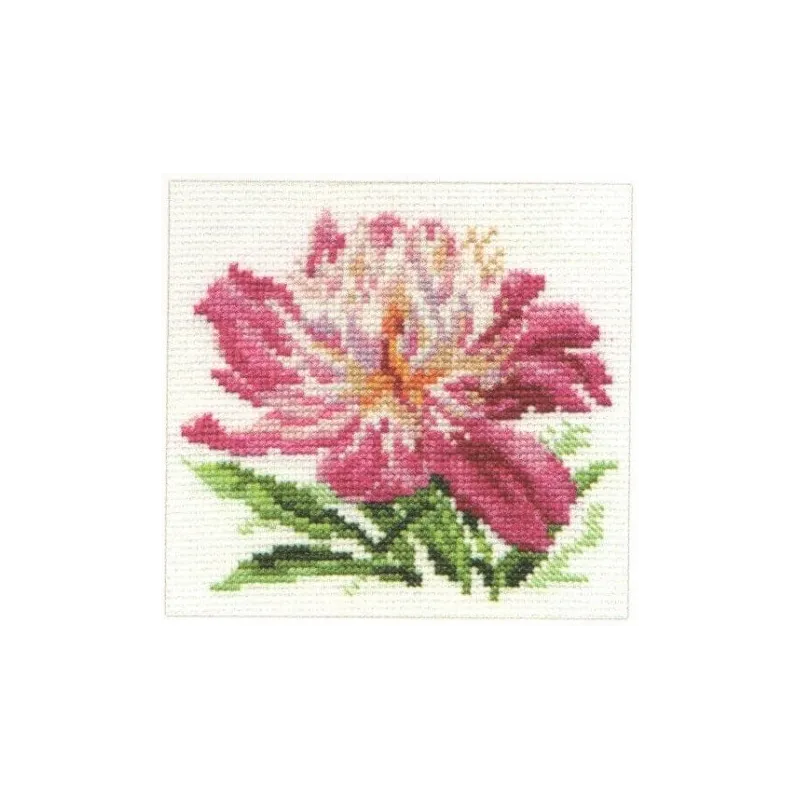 Pivoine rose S0-119