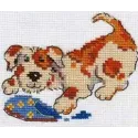 SALE Little Friend S0-38 (D)