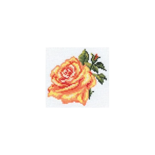 Ausverkauf (Eingestellt) Rose S0-41