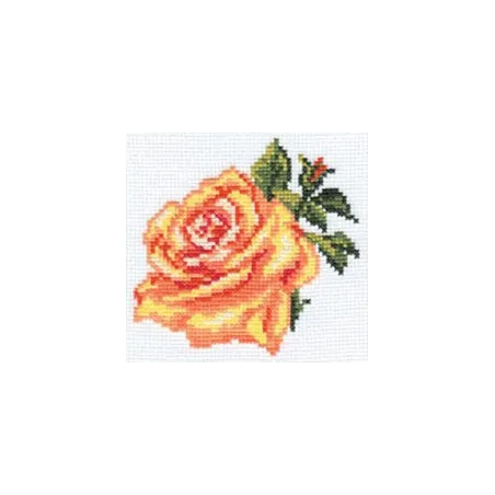 Ausverkauf (Eingestellt) Rose S0-41