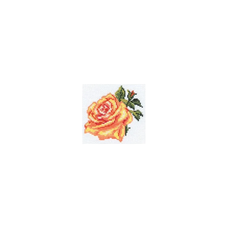 Ausverkauf (Eingestellt) Rose S0-41