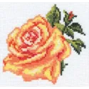 Ausverkauf (Eingestellt) Rose S0-41
