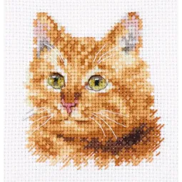 Gyvūnų portretai. Ginger Cat S0-207