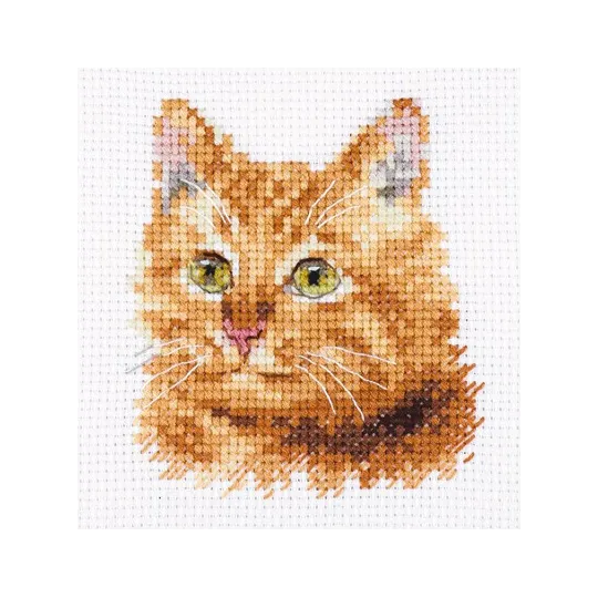 Animal Portraits. Ginger Cat S0-207