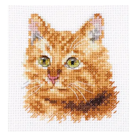 Animal Portraits. Ginger Cat S0-207