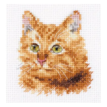 Gyvūnų portretai. Ginger Cat S0-207
