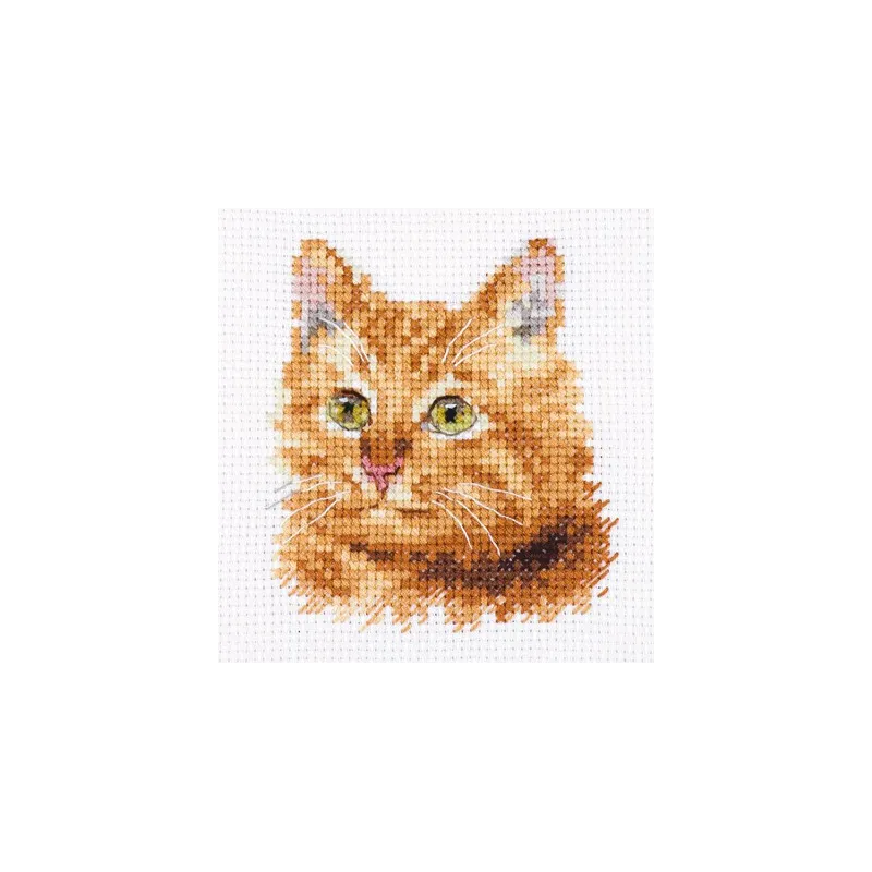 Animal Portraits. Ginger Cat S0-207