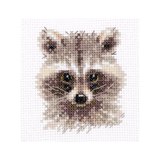 Animal Portraits. Raccoon S0-208