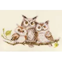 Owls S0-210