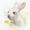 Lapin blanc S0-226