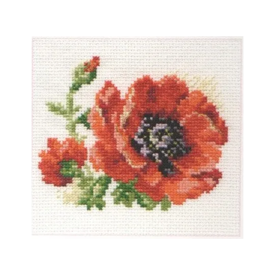 Coquelicot S0-80