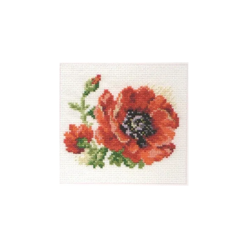 Coquelicot S0-80