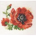 Coquelicot S0-80