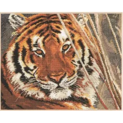 Tiger S1-08