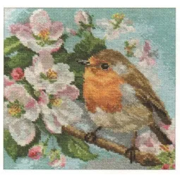 Robin S1-20