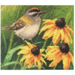(D) Goldcrest S1-21