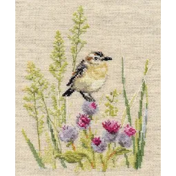 Луговой Чекан S1-26