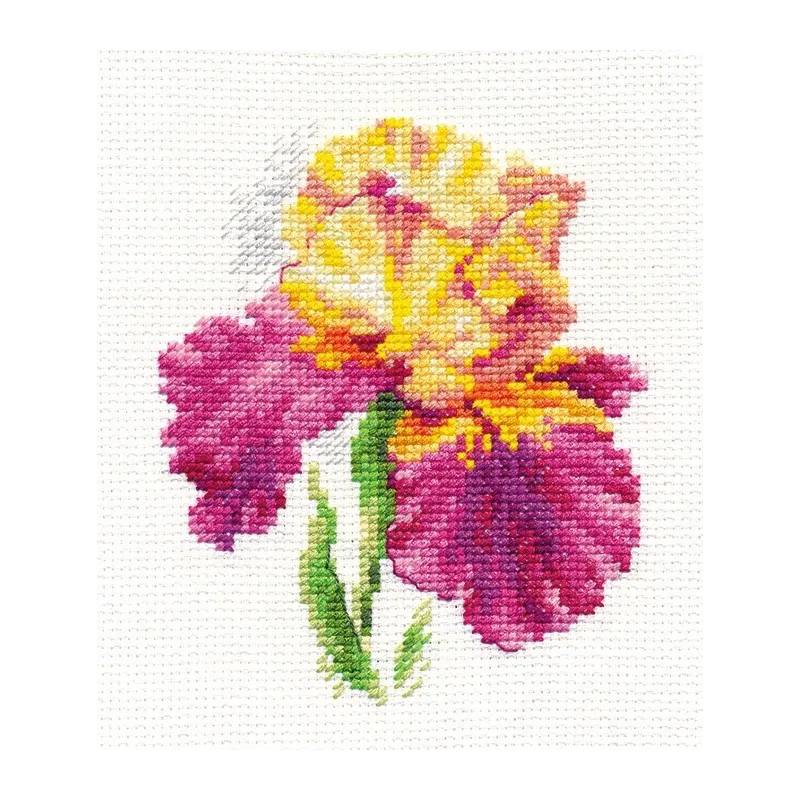 Irises S0-136